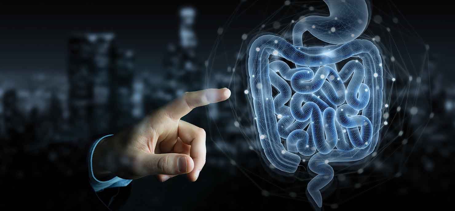 How gut bacteria can influence the brain