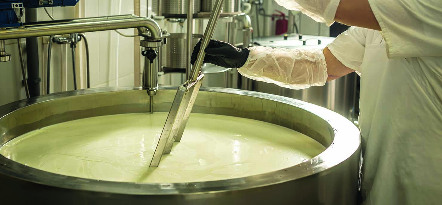 /-/media/images/cni/issue-image/2025/4/cheesemaker-stirring-large-bowl.ashx?h=687&w=1480&hash=CC453C9B55803BD7A27EC89700D090E9