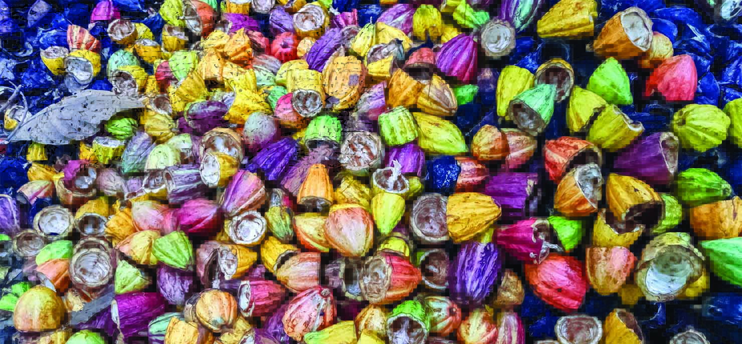 /-/media/images/cni/issue-image/2025/5/cacao-waste.ashx?h=687&w=1480&hash=7B8741A9E67CC6584DCAEC329A680BE5