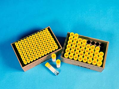 Wildcat offers Pulpfixin single use plastics