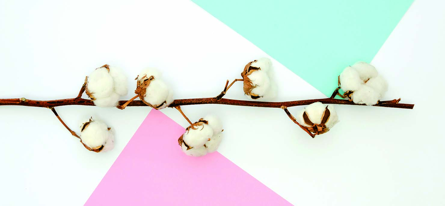 Sustainable fashion: How science is creating a better future for textiles 