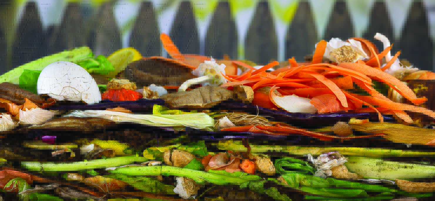 Biodegradable plastics: New insights to create better products