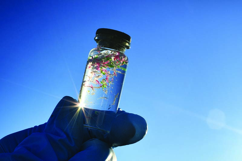 Water sample in a test tube