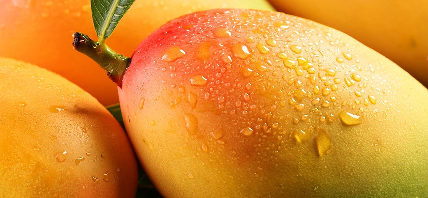 Developing a mango-flavoured soy-based yogurt