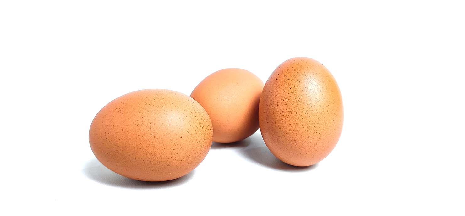 /-/media/images/cni/issue-image/2026/10/eggs.ashx?h=687&w=1480&hash=DA886EBCB3EAF668F9906BD0107686FD