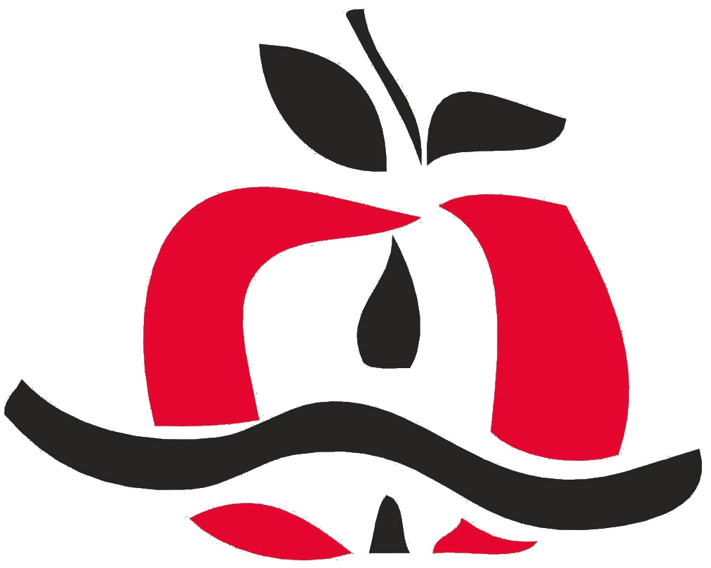 bsf logo