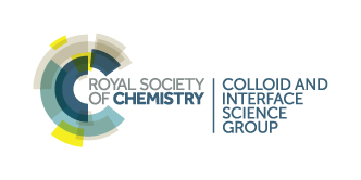RSC CISG
