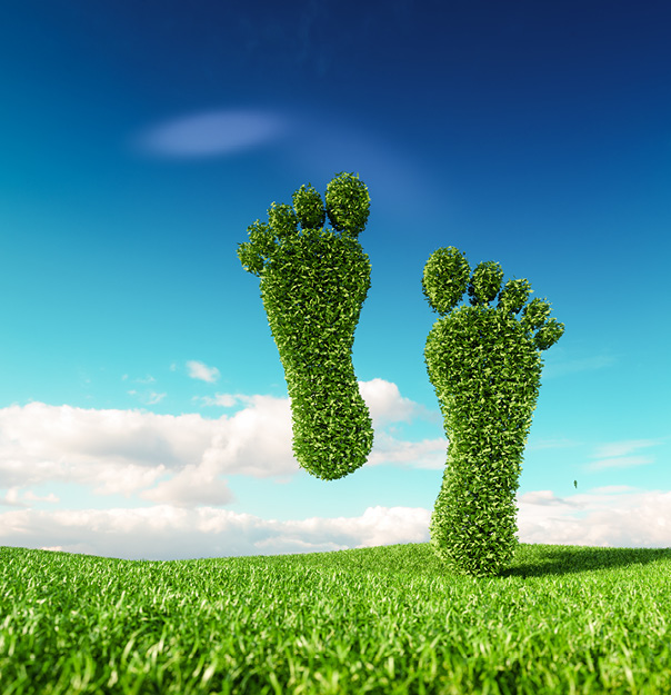 Building the UK’s NetZero workforce