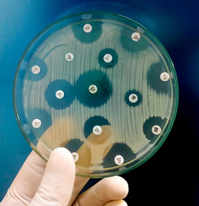 /-/media/images/events/2023/petri-dish_listing.ashx?h=300&w=290&hash=2AD4C05DD17BA69941EBEF83F1A6B2A1