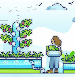/-/media/images/events/2025/horticulture-group/hydroponics-farming-horticulture-plant-listing.ashx?h=300&w=290&hash=C145272A84FF6084FC79D4870E84B50F