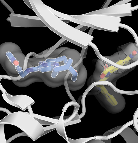 /-/media/images/events/2025/kinase_listing.ashx?h=500&w=483&hash=C3D7ABC3C32691D4656A7EDEFAD3127C