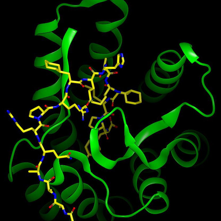 /-/media/images/events/20thmedchemsymposiumlisting.ashx?h=768&w=768&hash=582FA2F1C175E3C53063F3479AC3D576B549F715