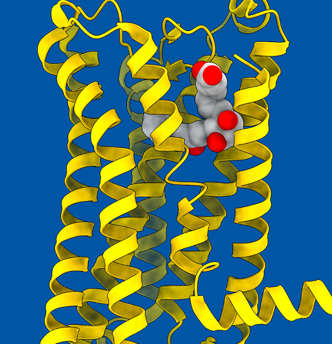 /-/media/images/events/9th-scirsc-symposium_listing.ashx?h=500&w=483&hash=8BF017EE040491D7A8D4F3CCE635E89C