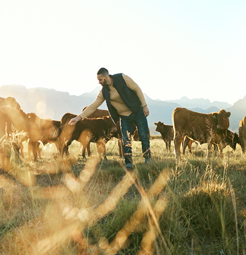 /-/media/images/events/livestock-horizons-listing.ashx?h=500&w=483&hash=15ADF23B57D833FDC534F0B77F7AE51A
