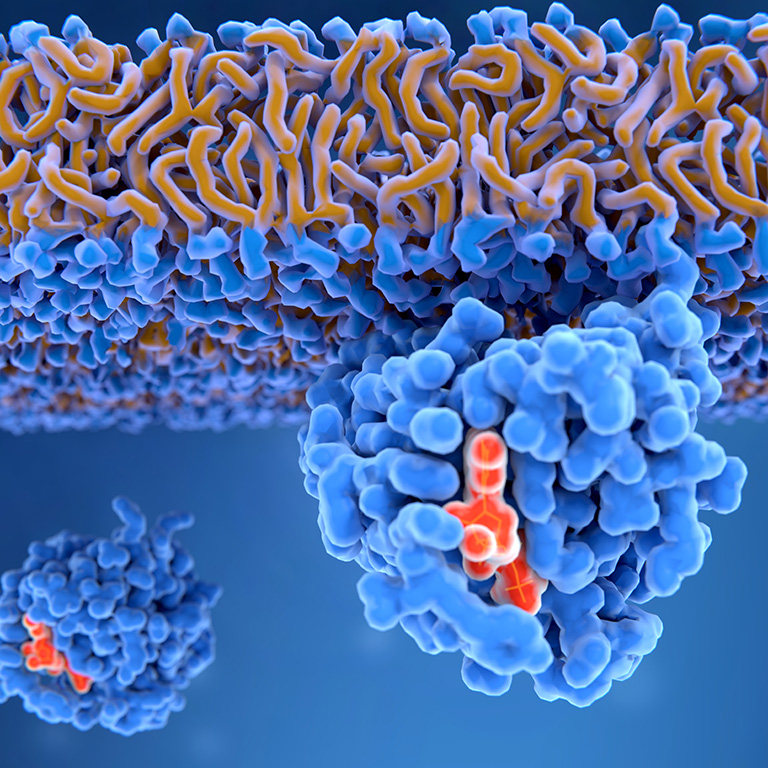 /-/media/images/events/proteinproteininteractionlisting.ashx?h=768&w=768&hash=3A1517CCEB15C953E2D11C09586594C7