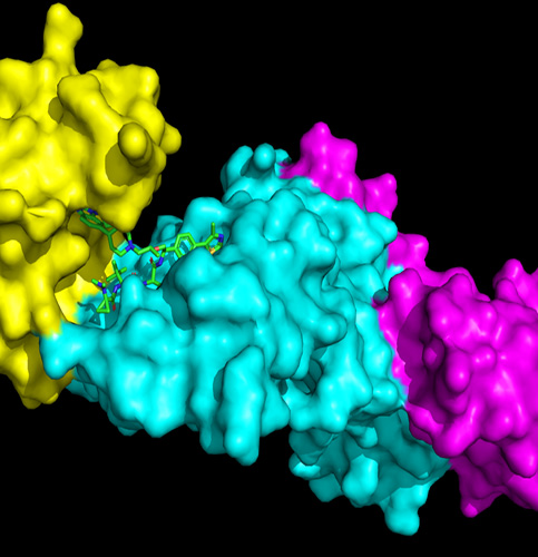 /-/media/images/events/sci-protein-degradation_listing.ashx?h=500&w=483&hash=15BD9000193BE31317113935D7E3A026