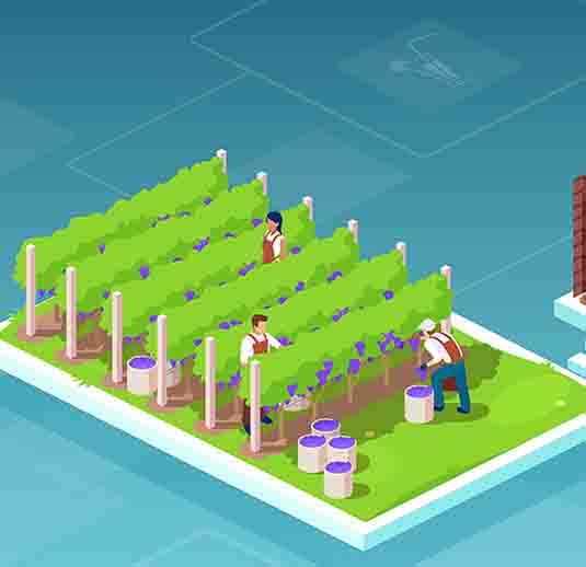 Developing Careers in the AgriFood Supply Chain