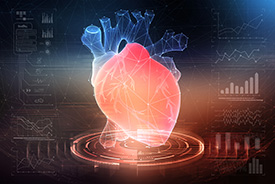 /-/media/images/general/1_numbers/3d-modelling-of-a-heart.ashx?h=184&w=275&hash=1C6B0332F6A293E7F3A6160F99D95B0D