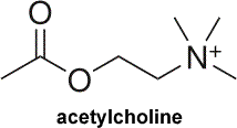 acetylcholine