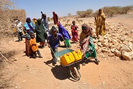 family collects water