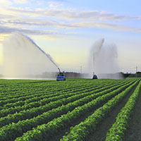 Agriculture