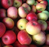 Apples - Jeremy Keith 