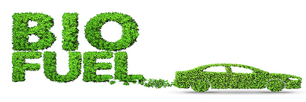 Biofuel 
