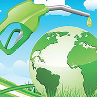 Biofuels Hype or Reality?
