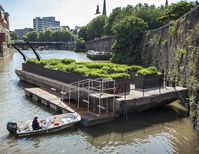 ballast seed project - photo by Bristol University 