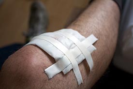 bandage