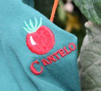 Cantelo Nurseries