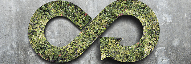 circular economy 