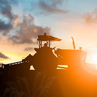 tractor in the field 