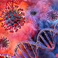 coronavirus 