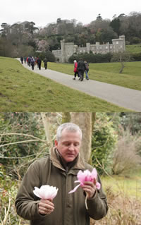 caerhays