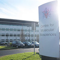  Centre for Molecular Biosciences, Ulster 