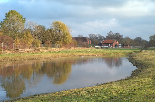 pond