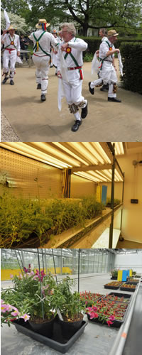 CUBG