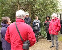 Eccleston Square garden