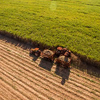farmland