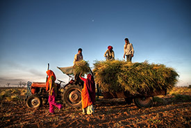 /-/media/images/general/f/farming-in-india-2.ashx?h=185&w=275&hash=C808F778E79A715DF461573855DB9E14504C78B3