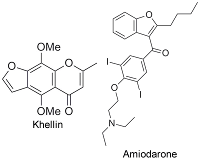 amiodarone