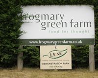 Frogmary