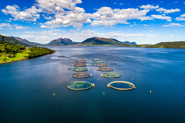 norwegian fish farm