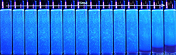 delayed gel collapse