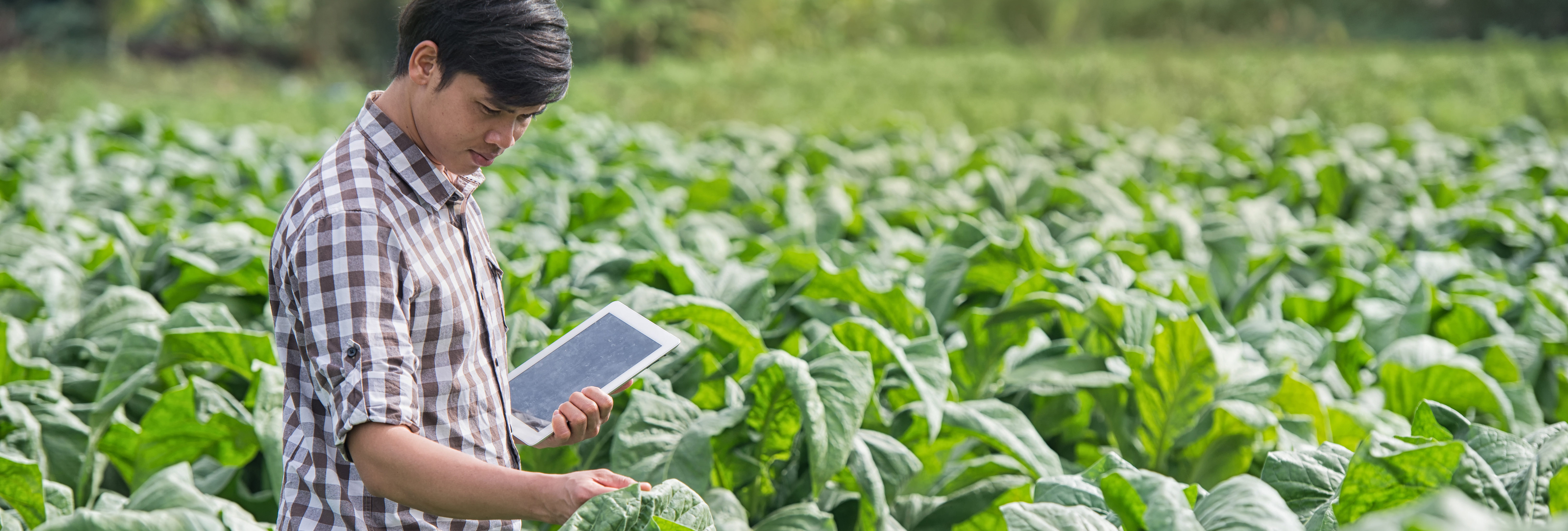 HighlightsDataAgrifood