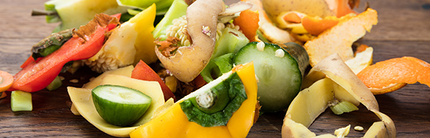food waste