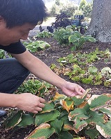 Dr Ruisheng An