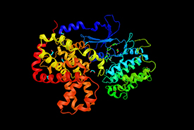 /-/media/images/general/k/kinase-protein.ashx?h=185&w=275&hash=DB36B0C49BACD9A47CB2346236377F4D04054F1E