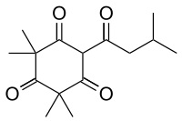 Leptospermone